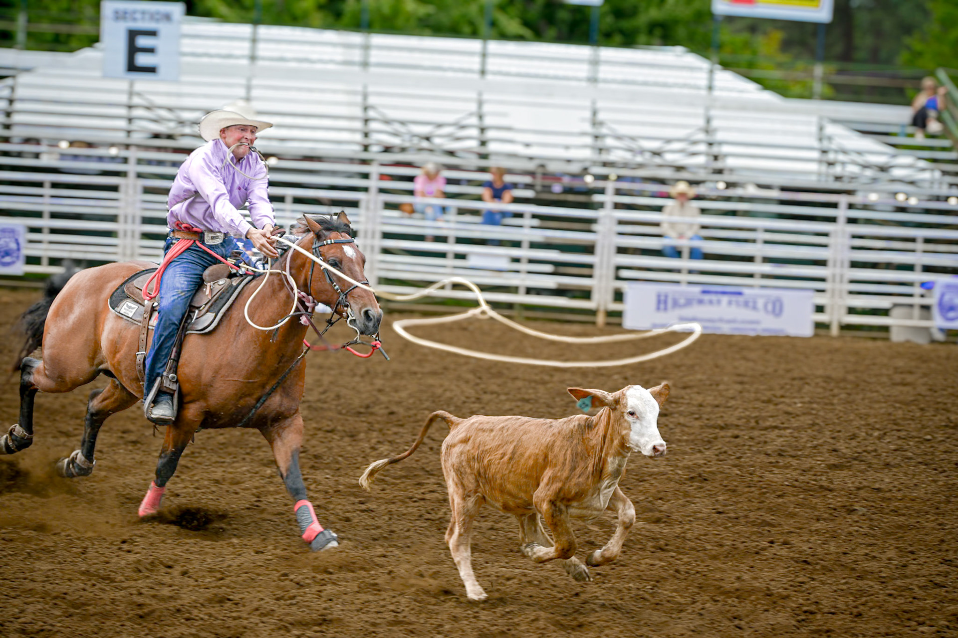 Rooted in the daily chores of ranching, rodeo is emblematic of rural life in the western US. A hour drive south of Portland, the little town of Canby and the Clackamas County Fair host a rodeo and celebration of cowboy culture.