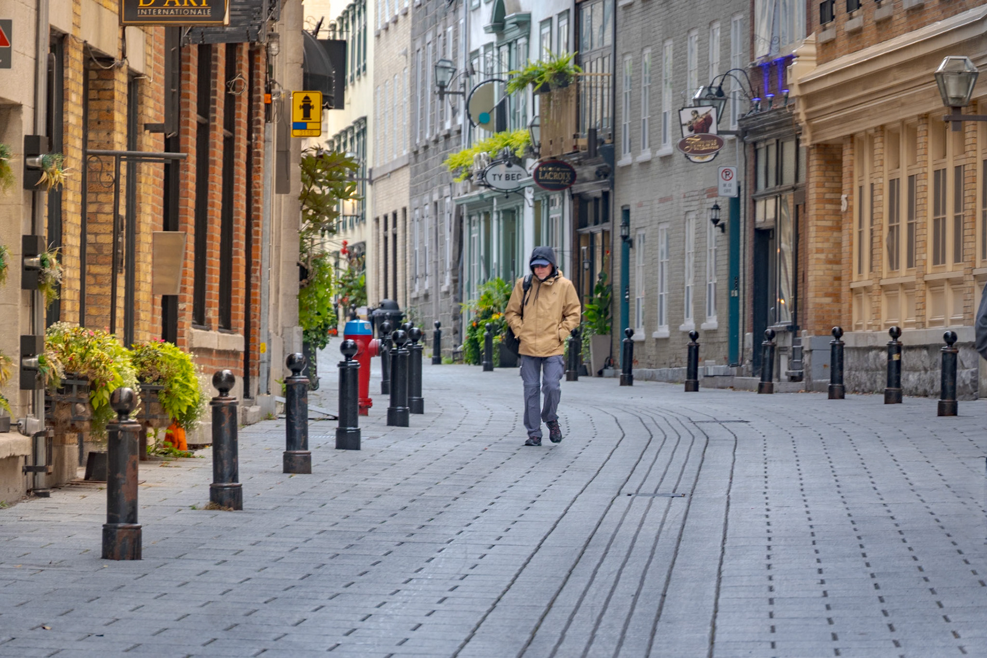 Early morniing walk, Quebec City