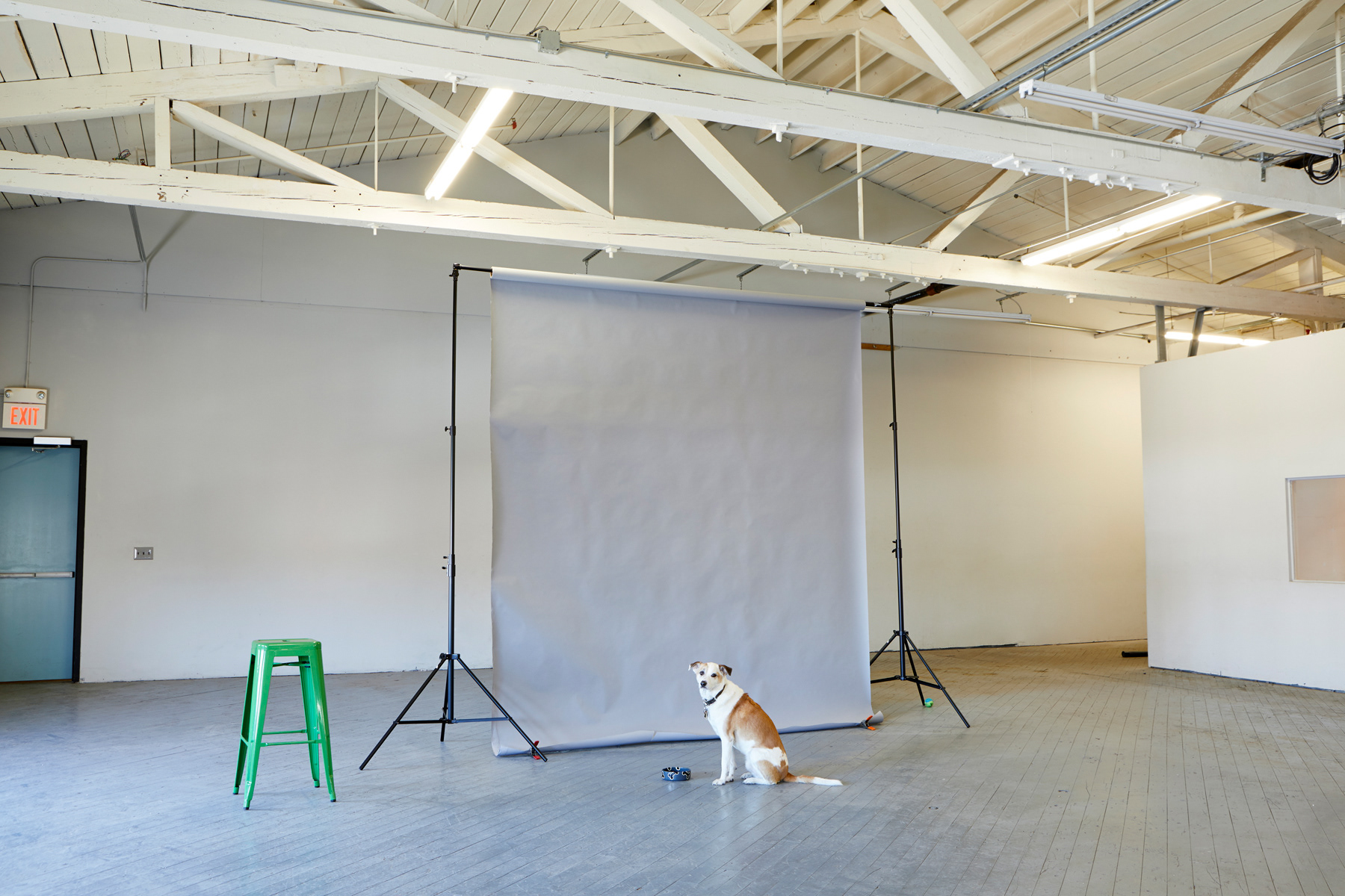 Backdrop stands with a variety of seamless rolls