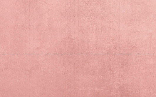 pink lady