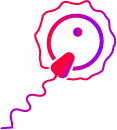 Fertility