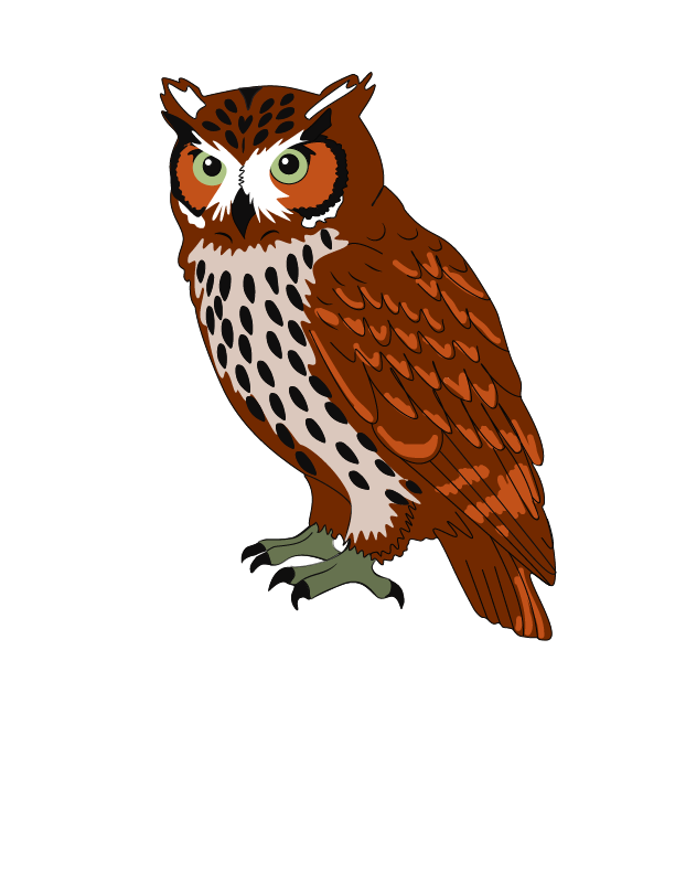 Great Horned Owl