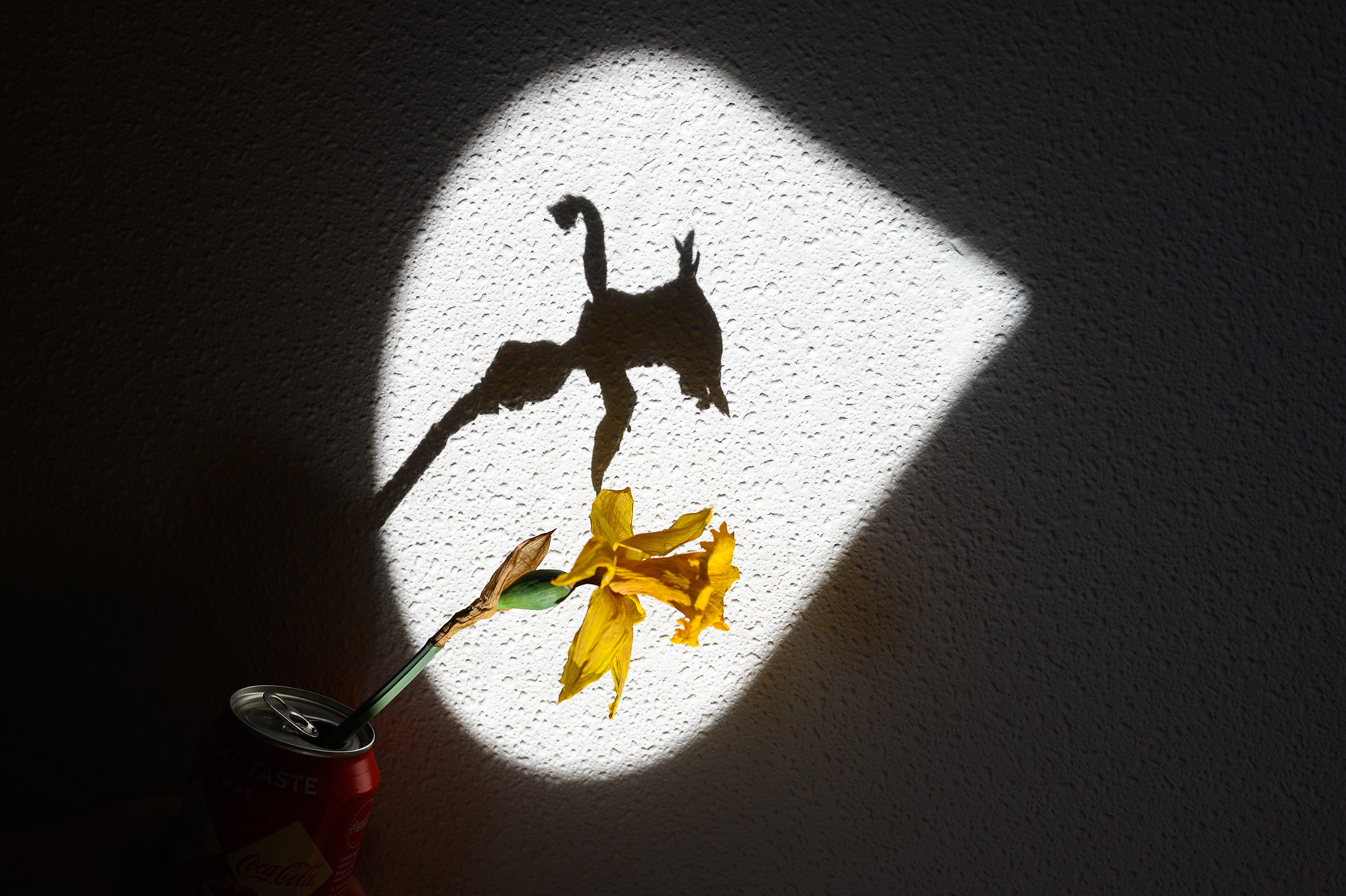 "Mirror on the wall"