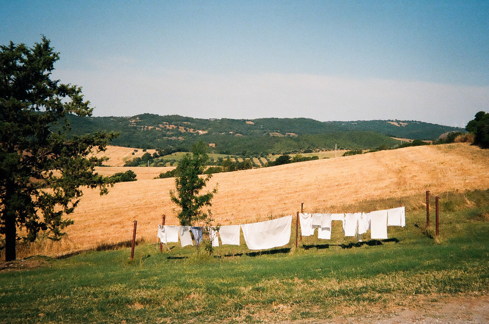 "Saturnia"