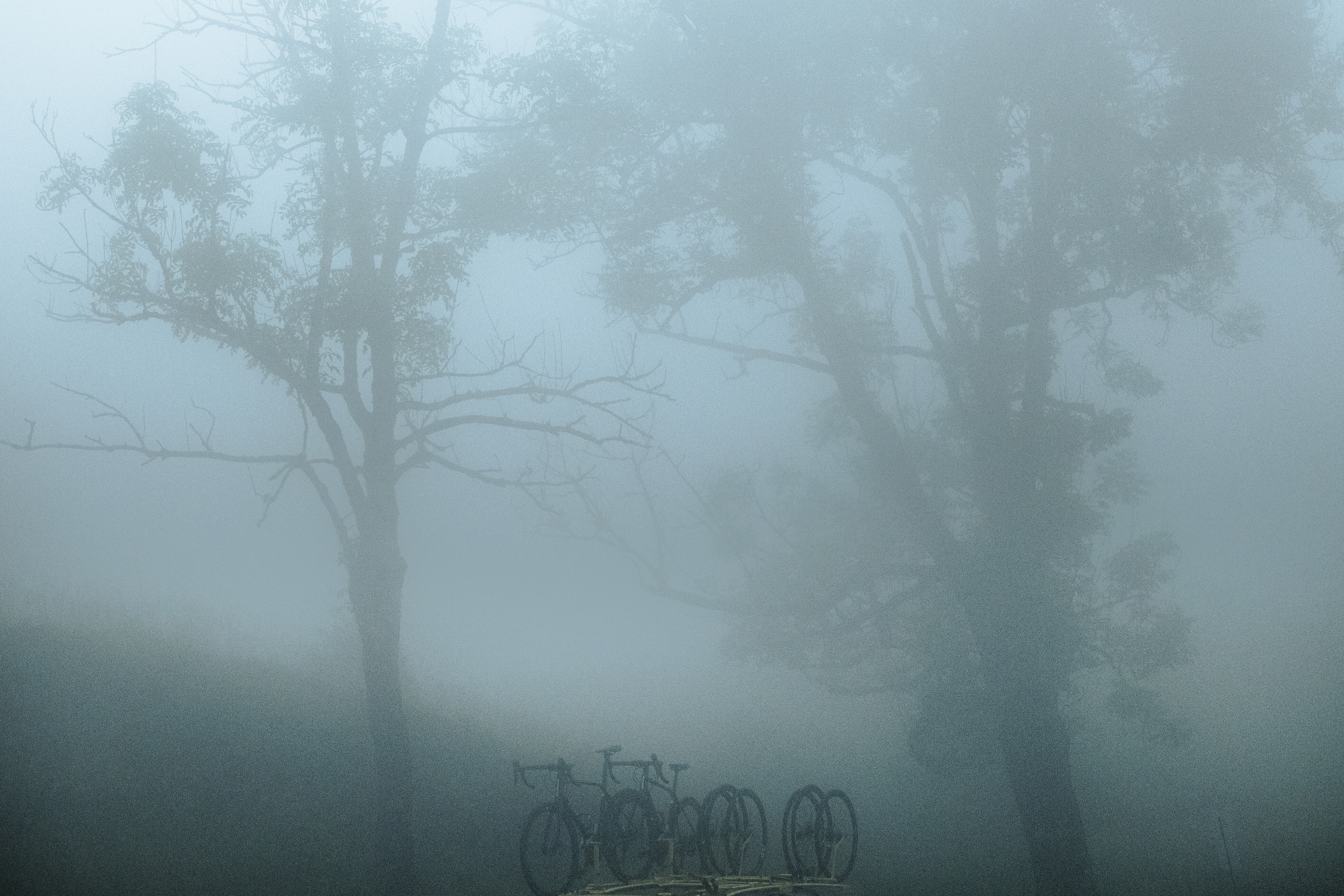 Tour Féminin International des Pyrénées, 2025