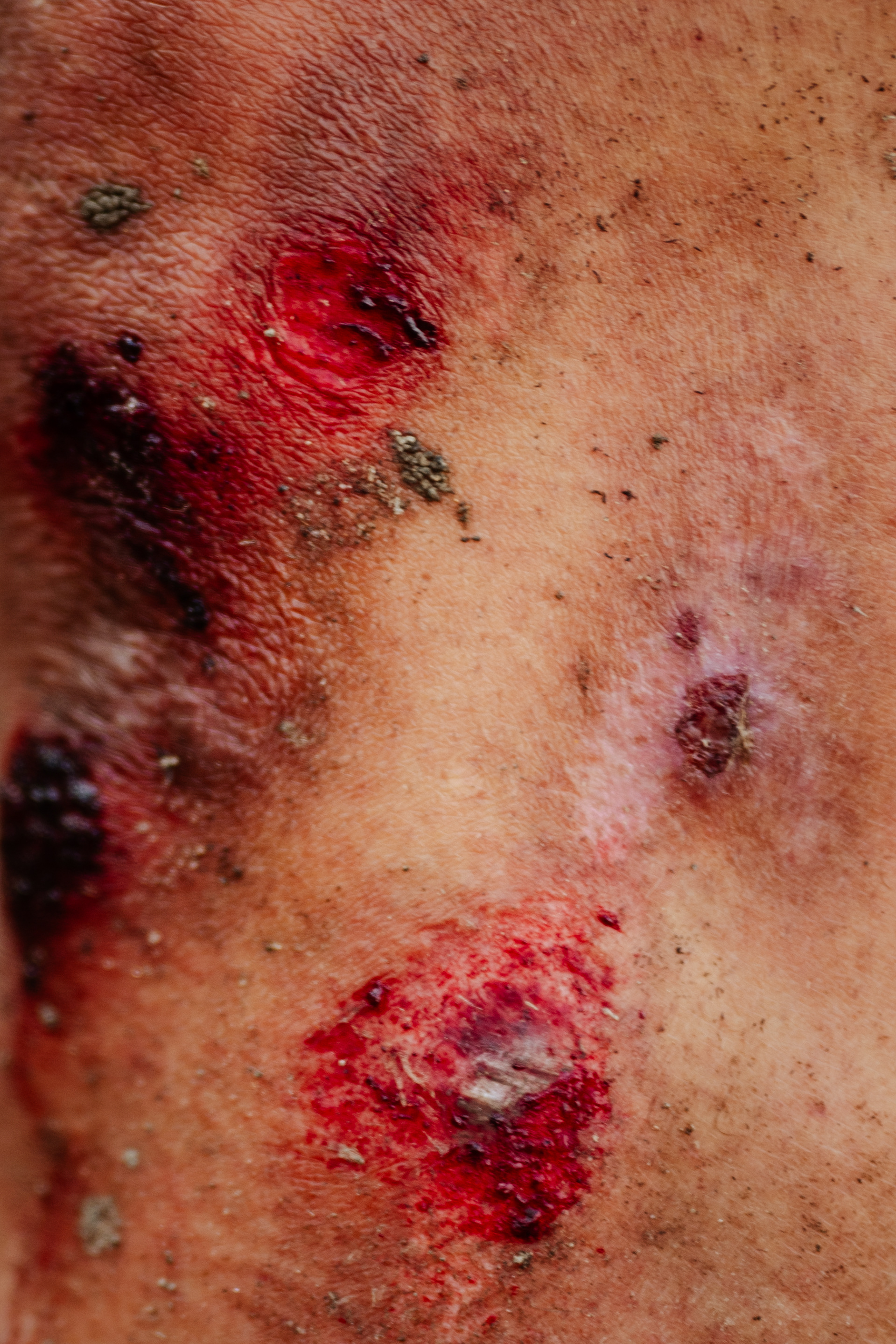 Volta ao Algarve, 2025