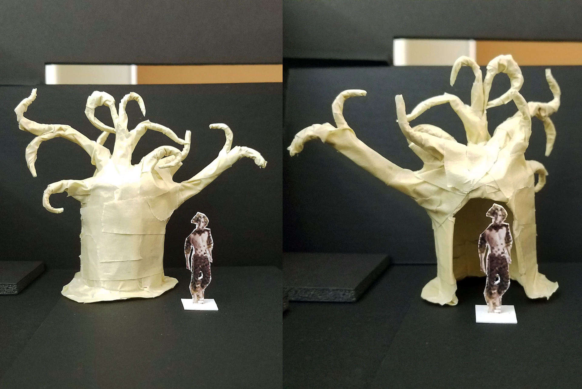 FIRST MODEL PASS