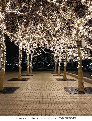 TREE LIGHT RESEARCH