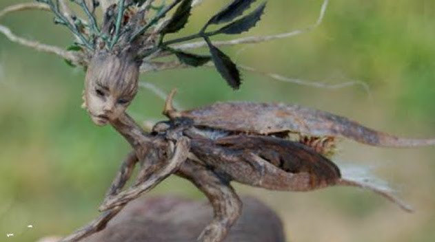 FAIRY RESEARCH