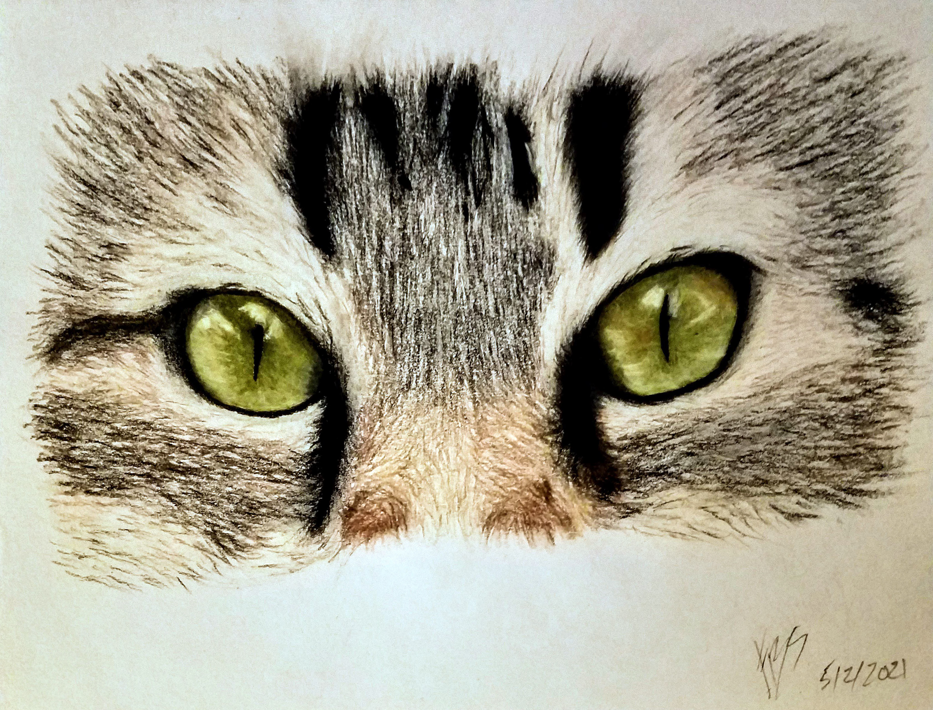 COLORED PENCIL 8.5X11