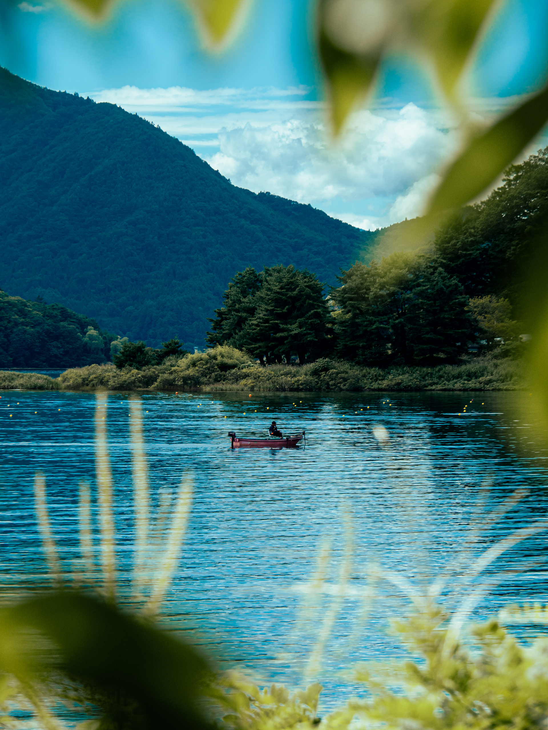 FUJIKAWAGUCHIKO, JAPAN