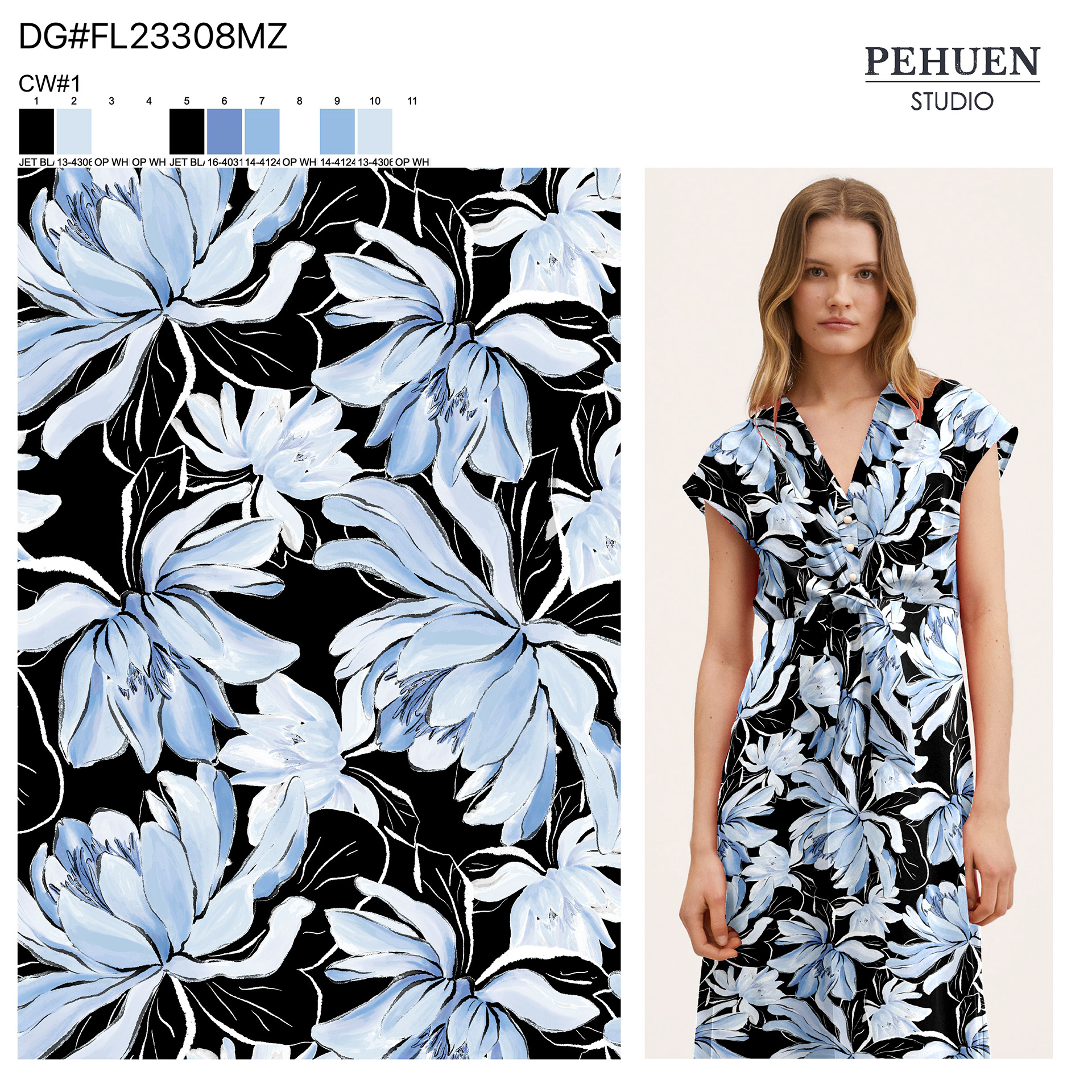 Original AW (credit to PEHUEN Studio)