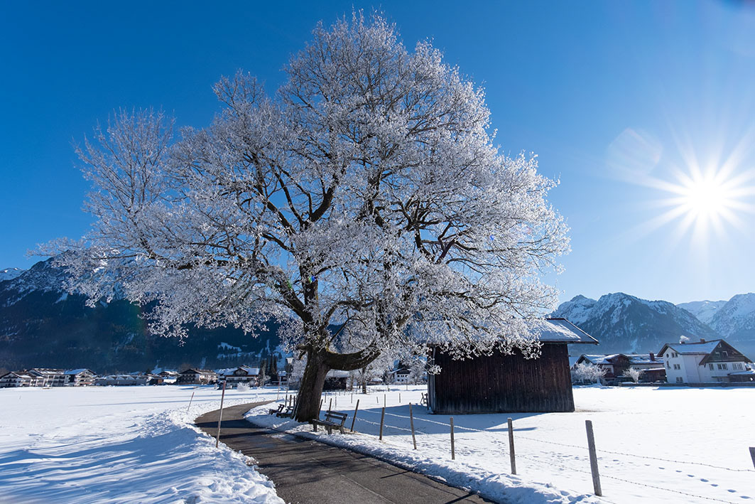 Winter