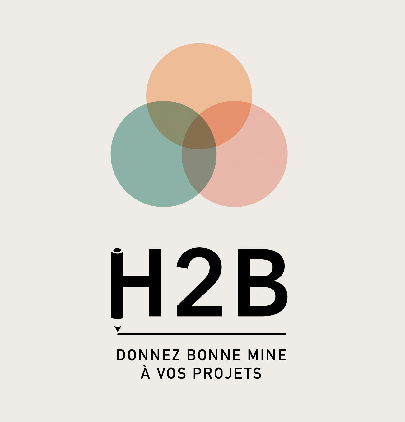 Crea Logo charte H2B