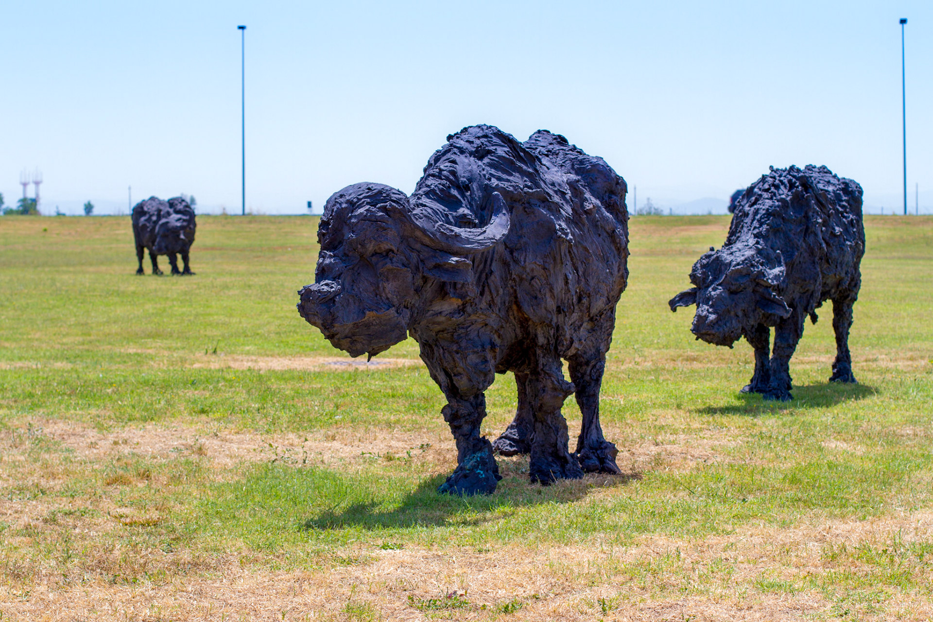 le bufale di Davide Rivalta