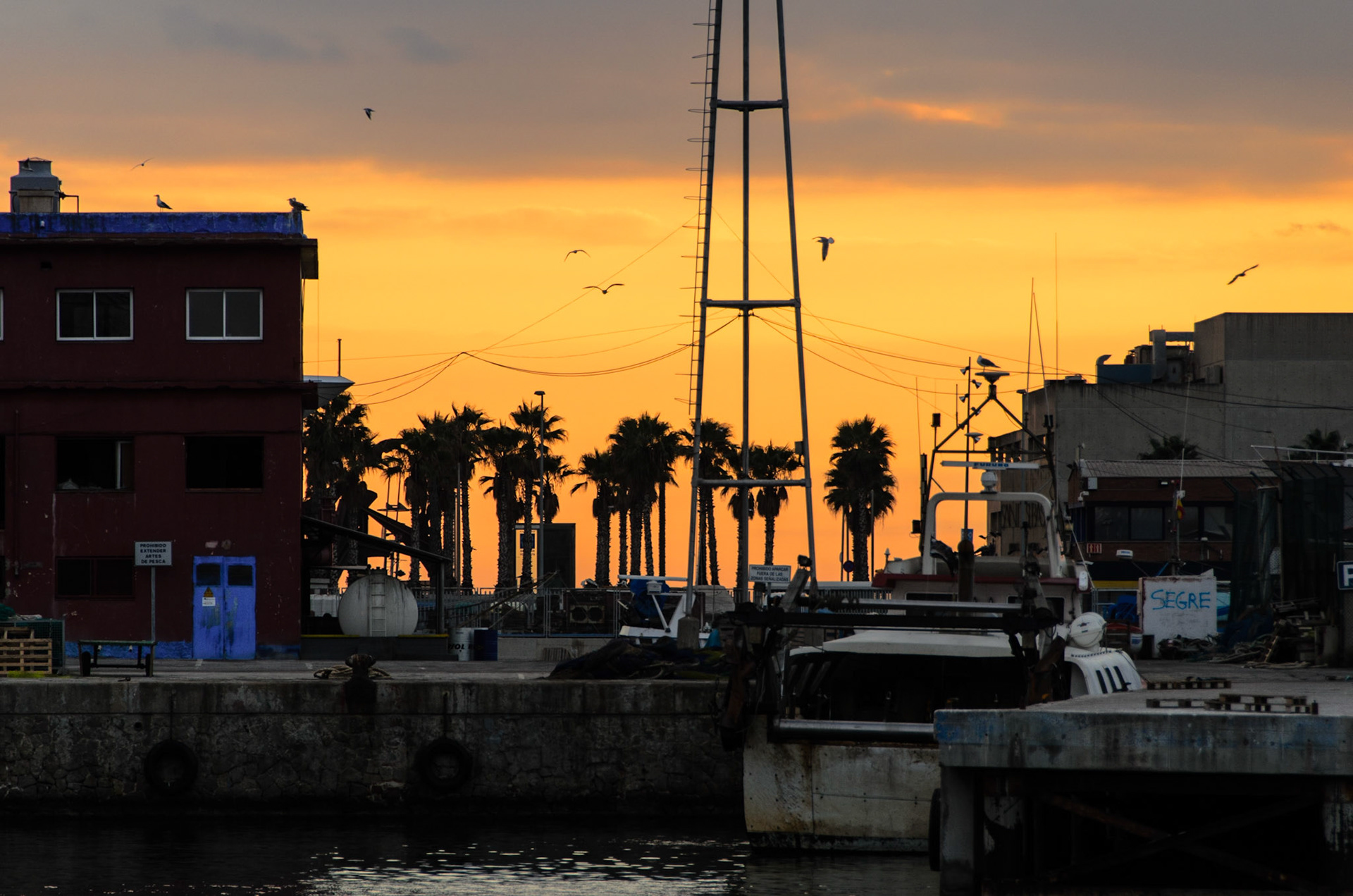 Port Vell 2