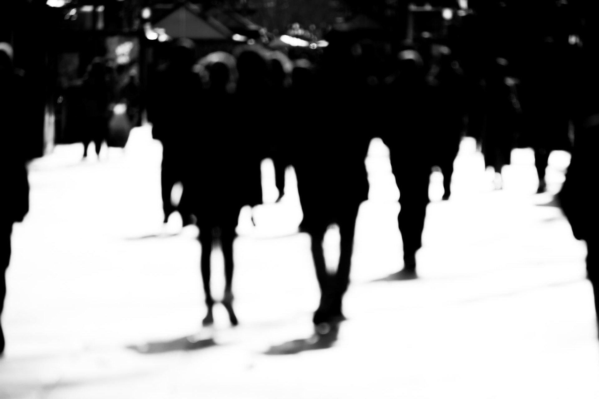 perseguint siluetes (o potser il·lusions)