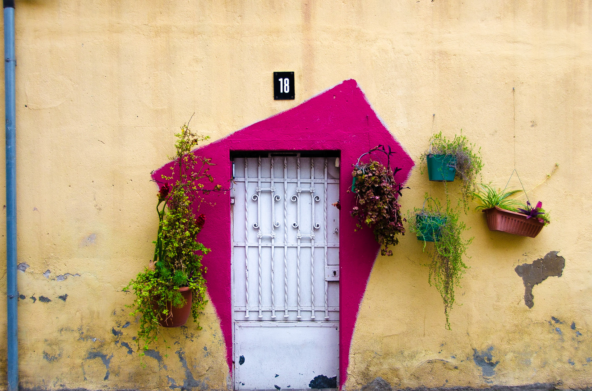 disguised door / porta disfressada