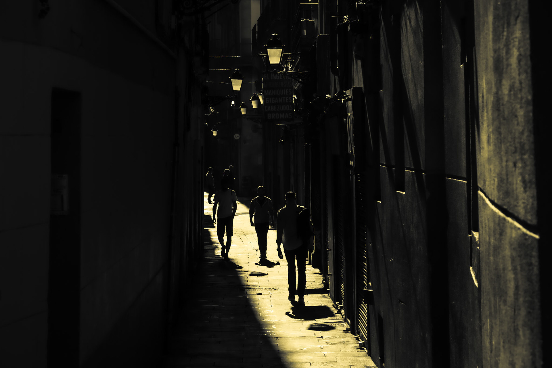 seguint el sol / folllowing the sun