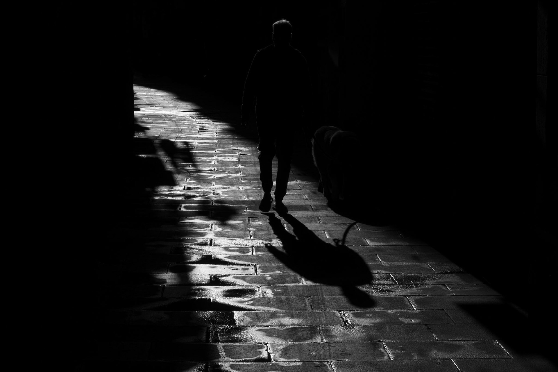 seguint la foscor / following the dark