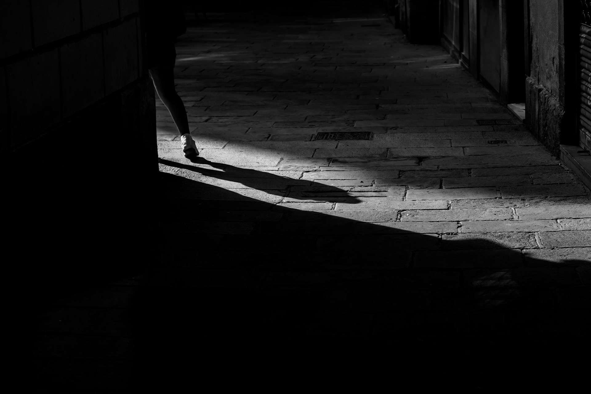 ombra fugissera / fleeting shadow