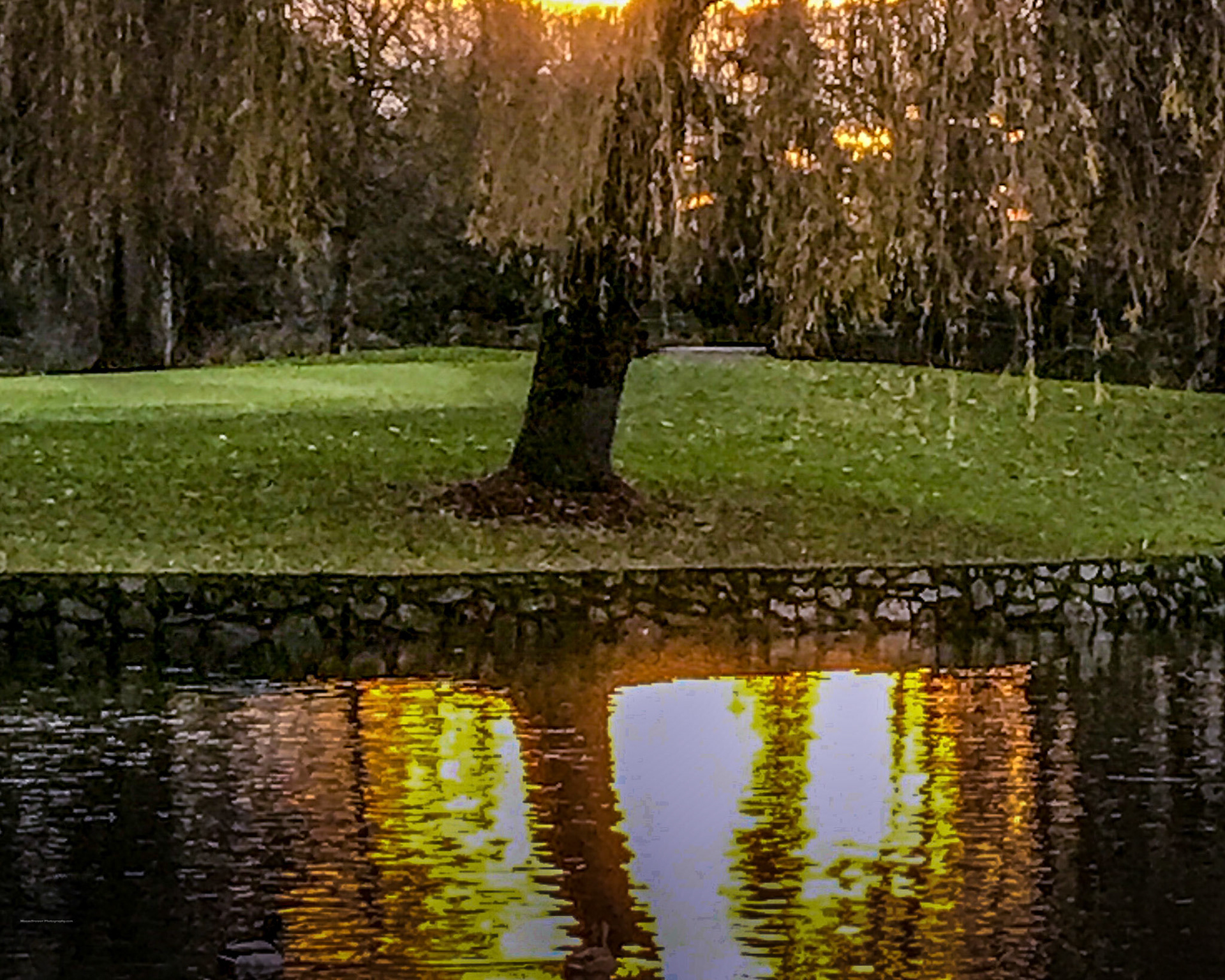 Golden Pond at Coyote Creek Golf Course