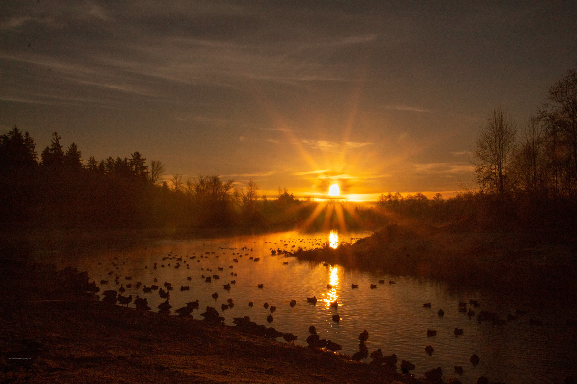 Surrey Lake Warmed Up