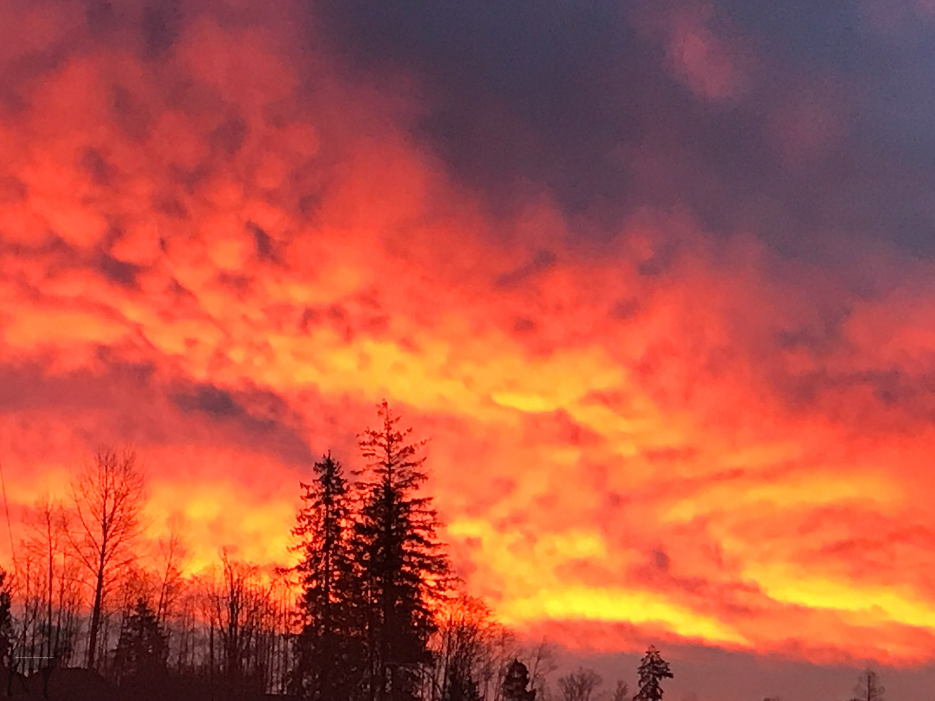 Looked Up and The Sky Was On Fire