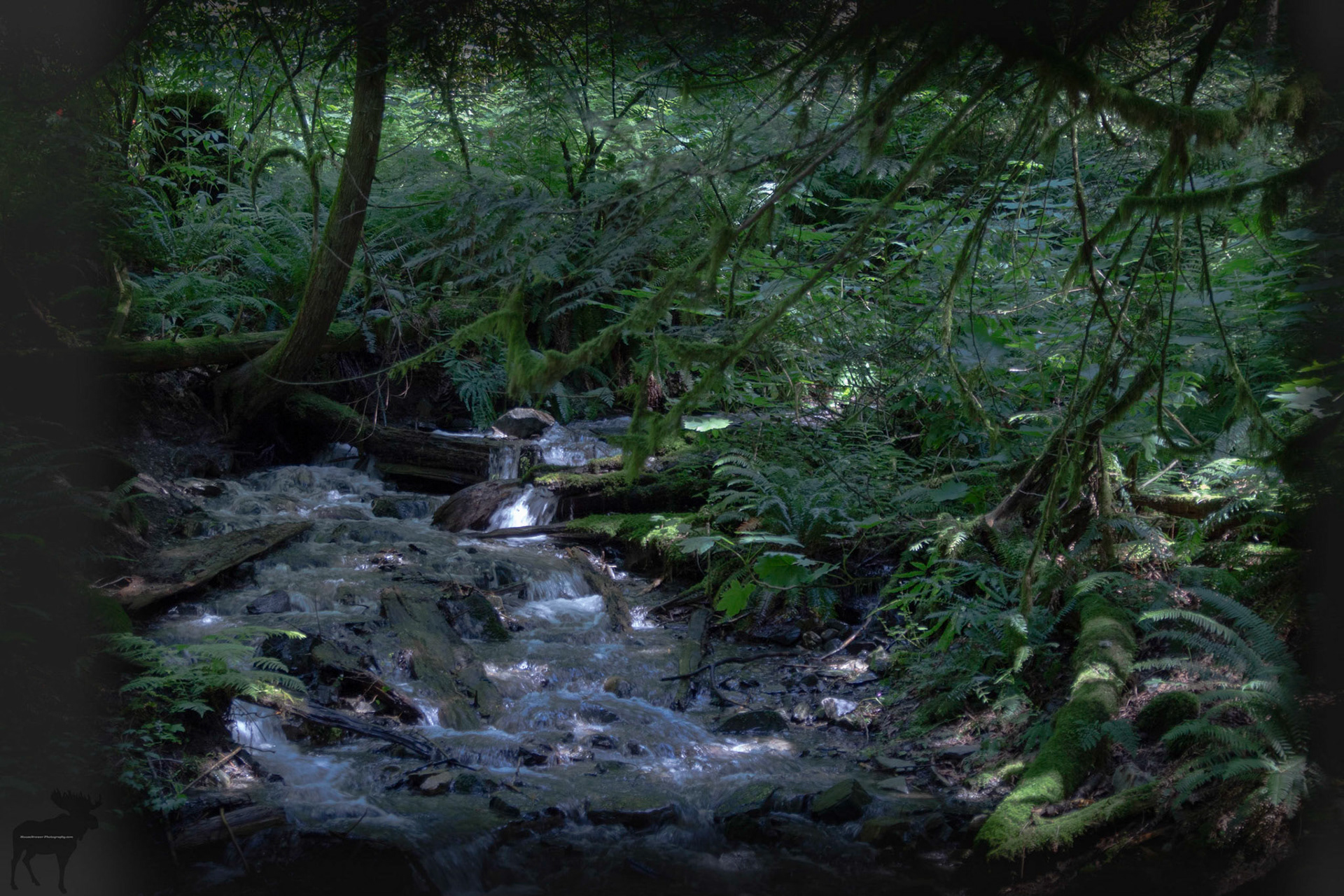 Creek by Bridal Falls B.C.