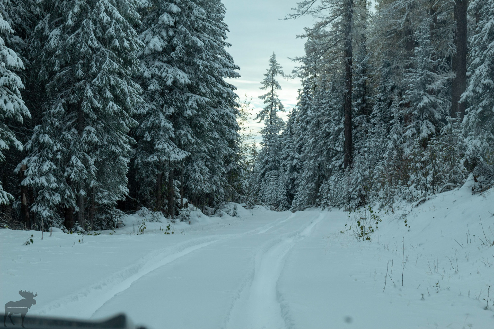 Mountain Road behind Oliver B.C.