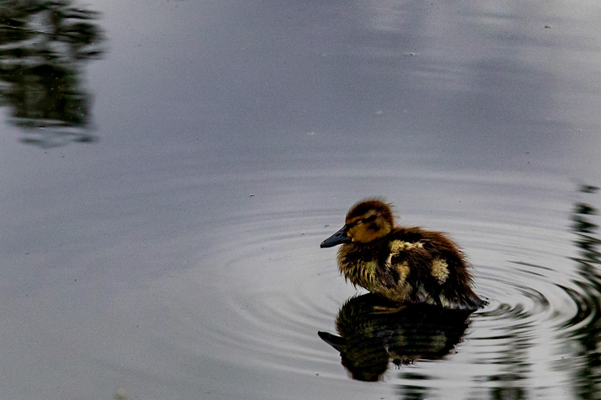 Wee Guy Needs a Rest