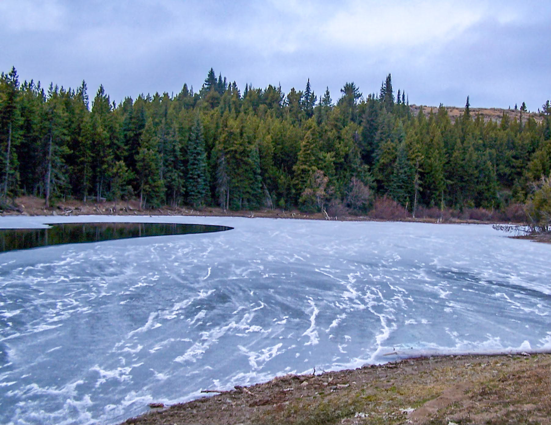 Icy Morning Surprise