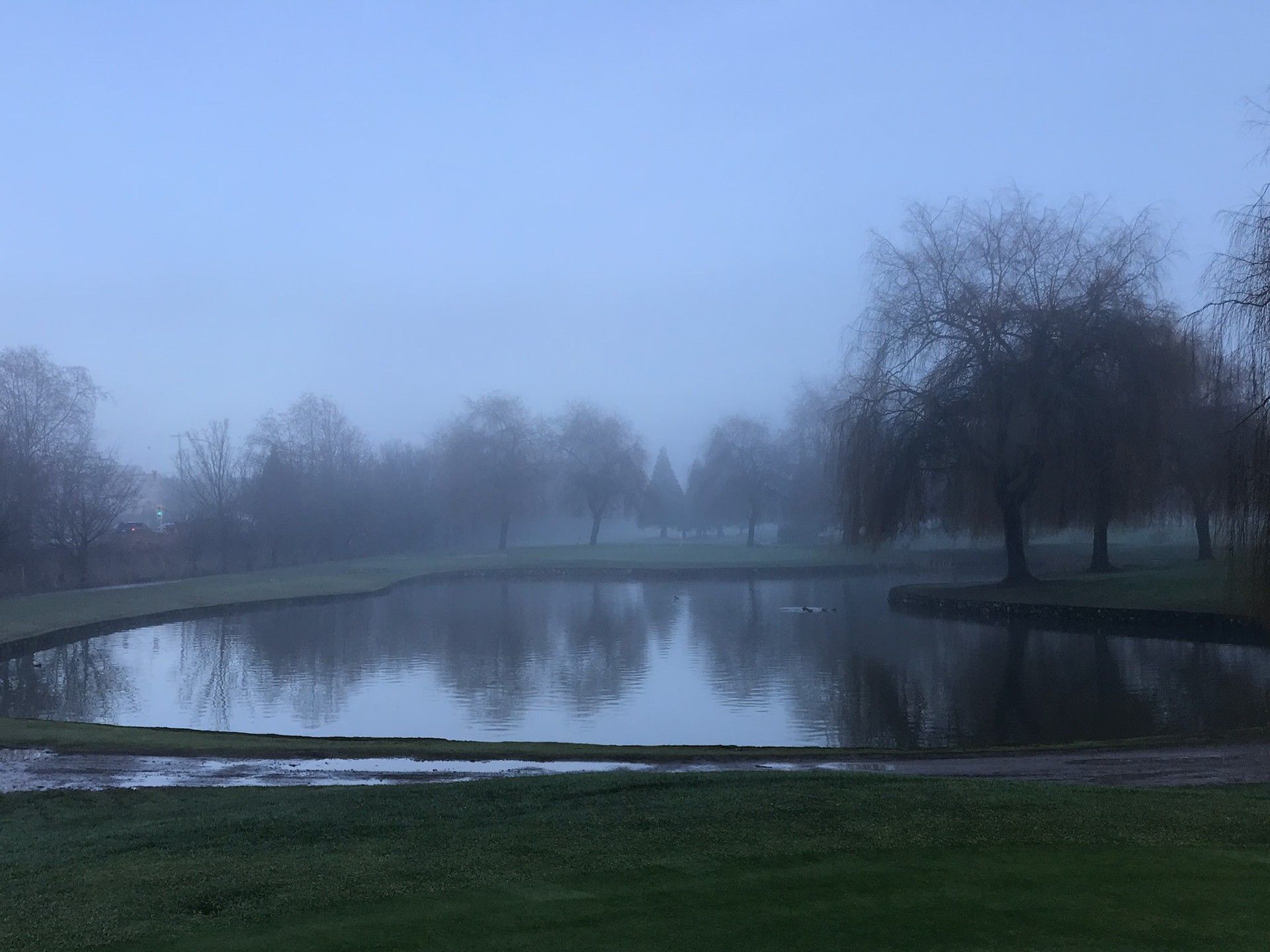 Misty Morning Pond