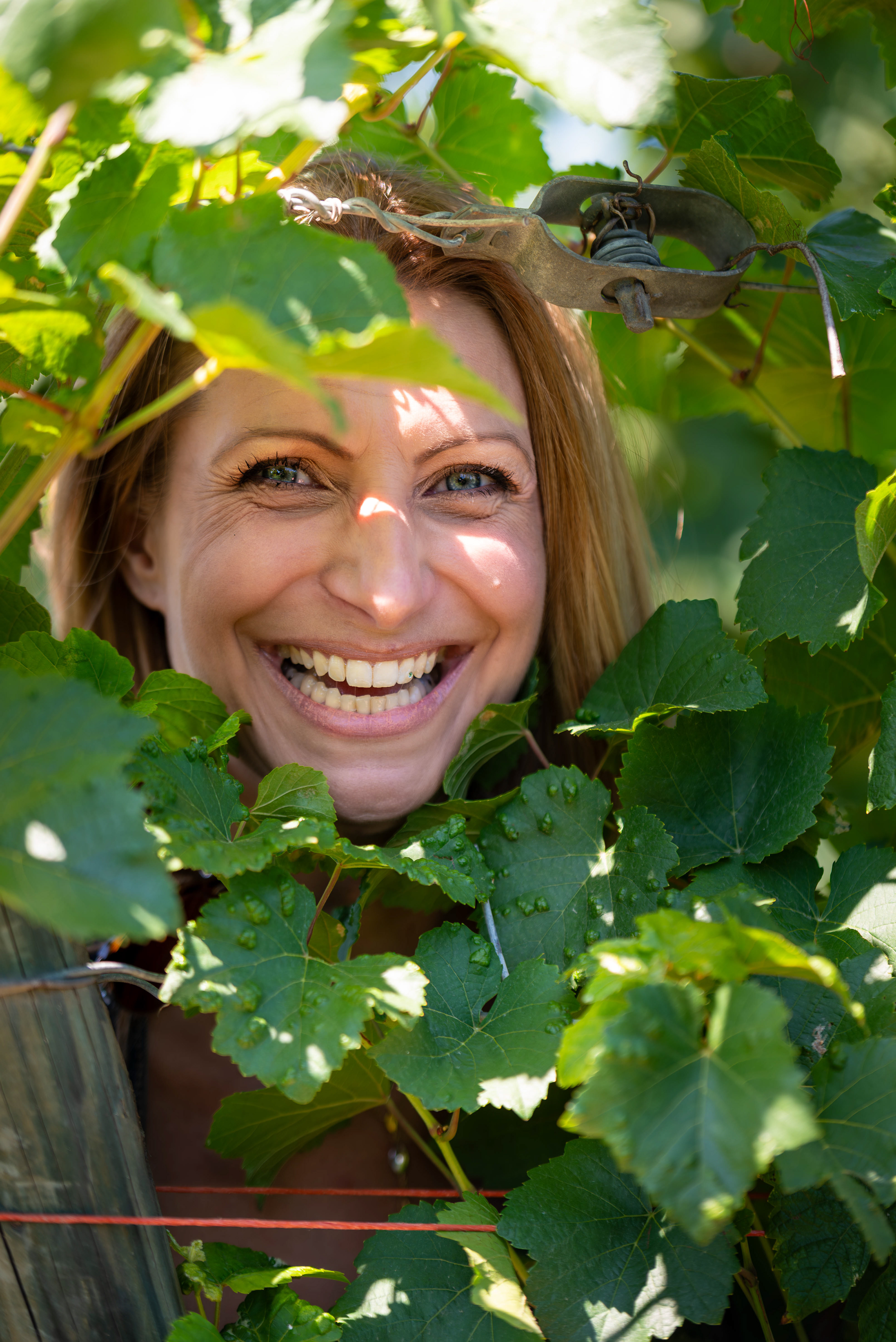 (c) Crédits Ju Walspeck