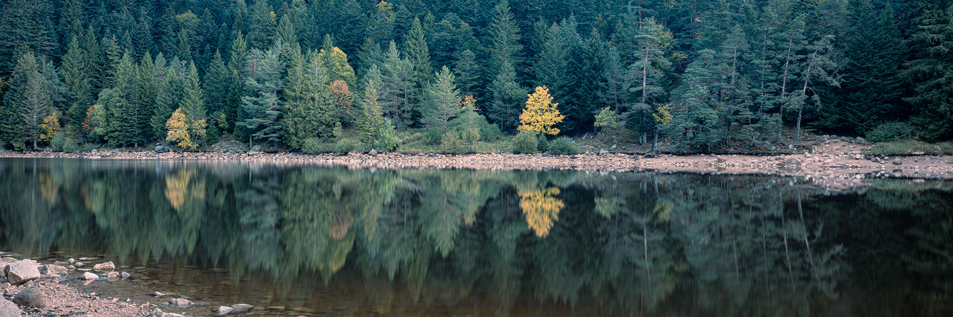Présence et reflets - (c) Crédits Ju Walspeck