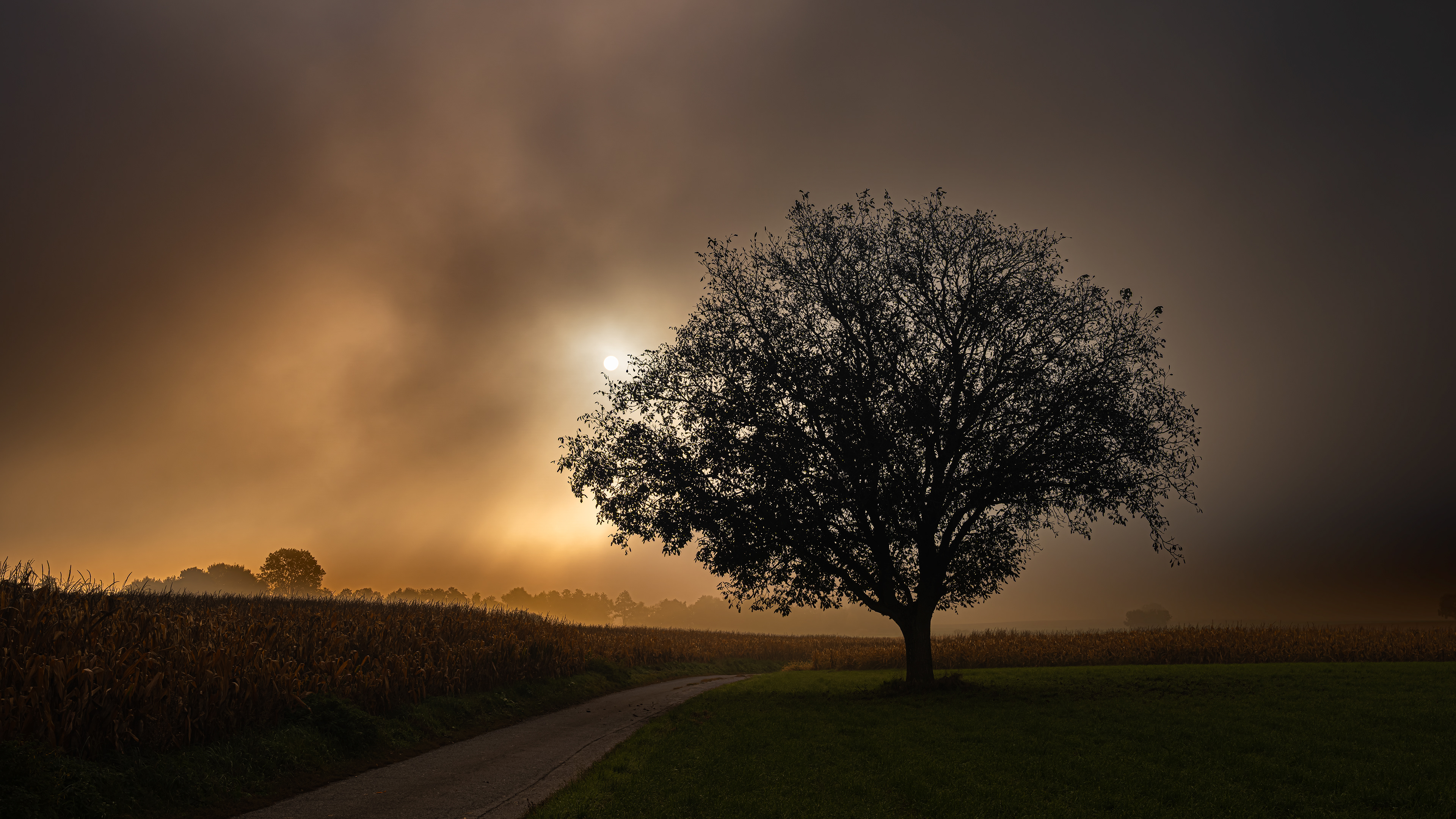Silhouette du matin - (c) Crédits Ju Walspeck