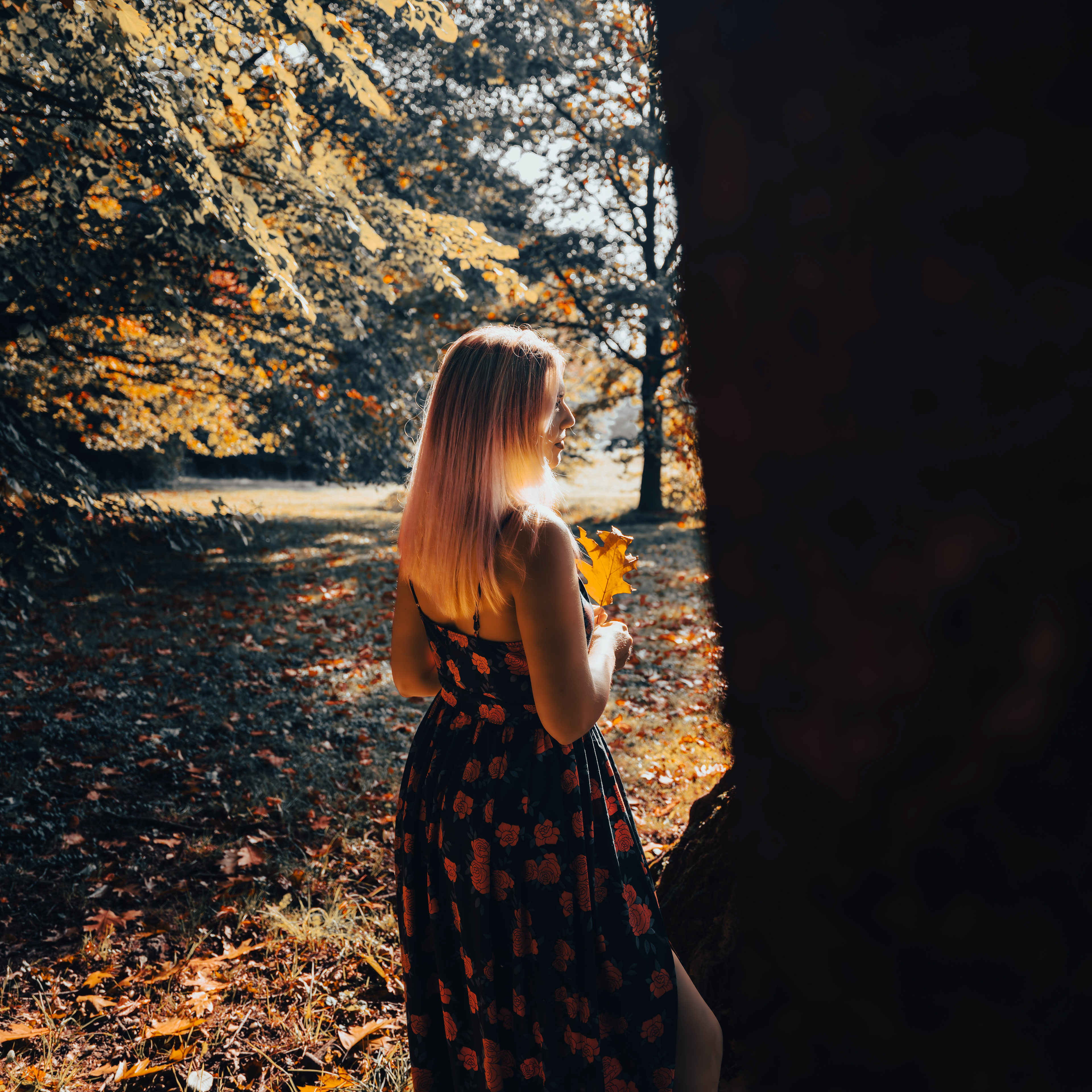 (c) Crédits | Ju Walspeck