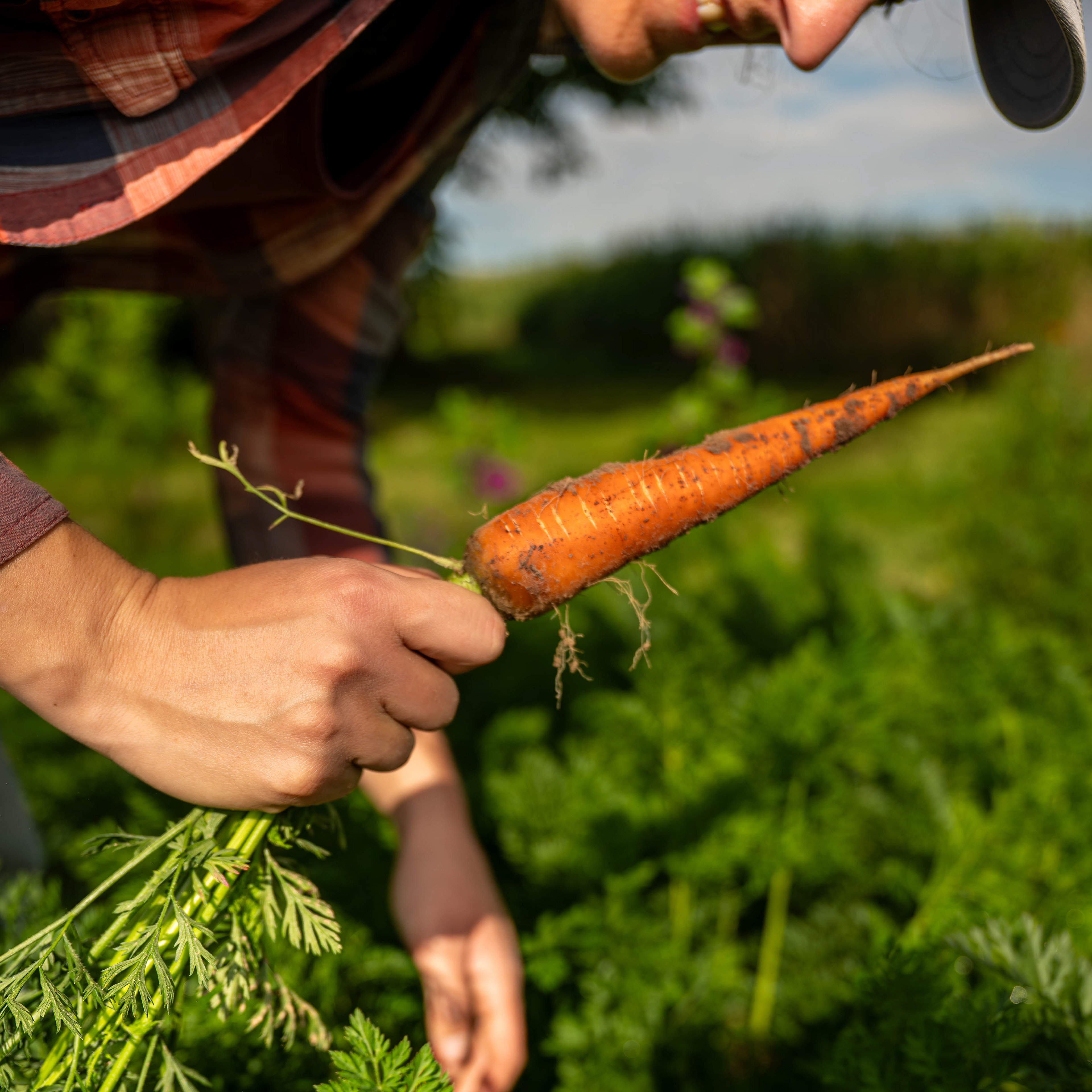 (c) Crédits Ju Walspeck