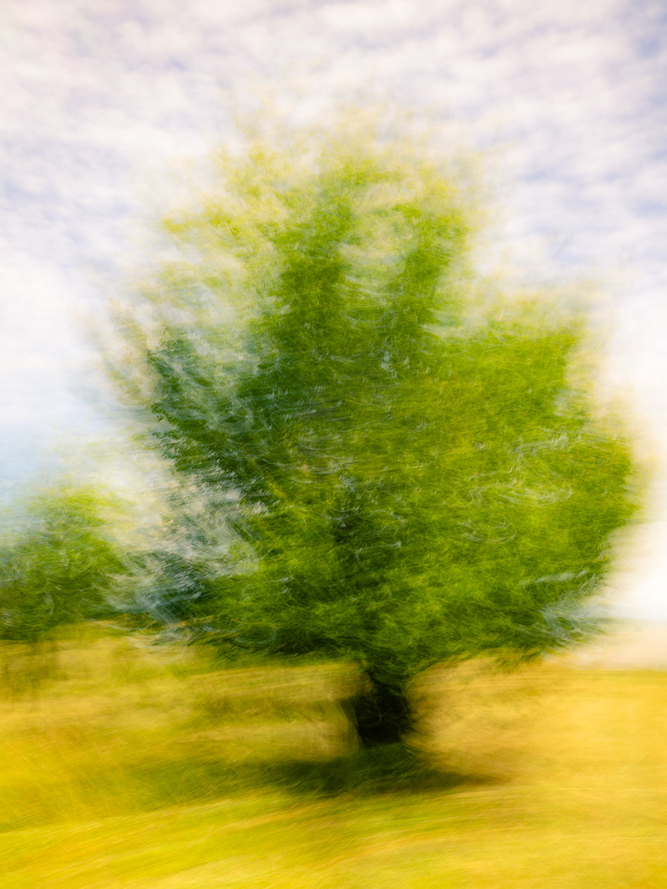 Jardin tranquille | (c) Ju Walspeck
