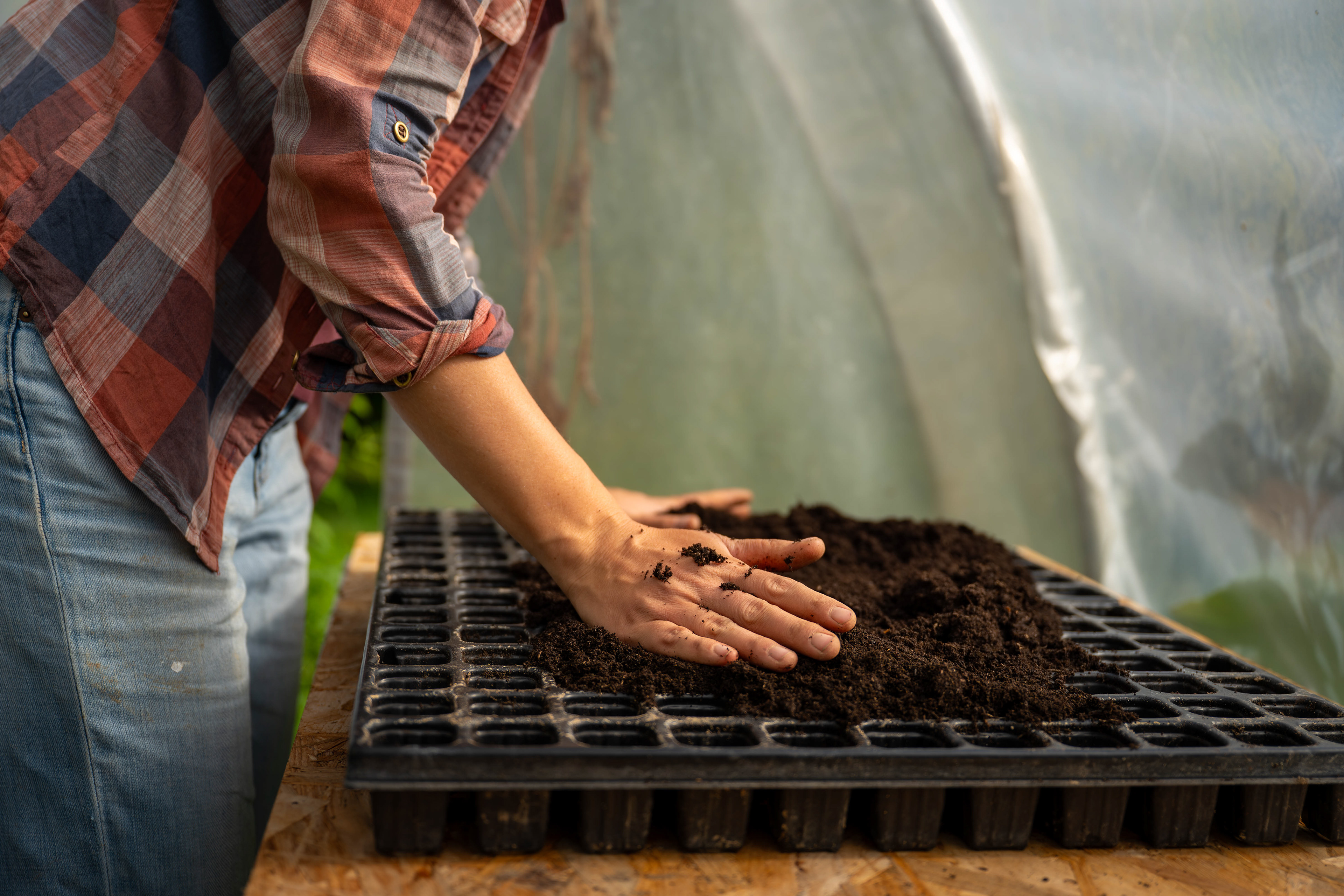 (c) Crédits Ju Walspeck