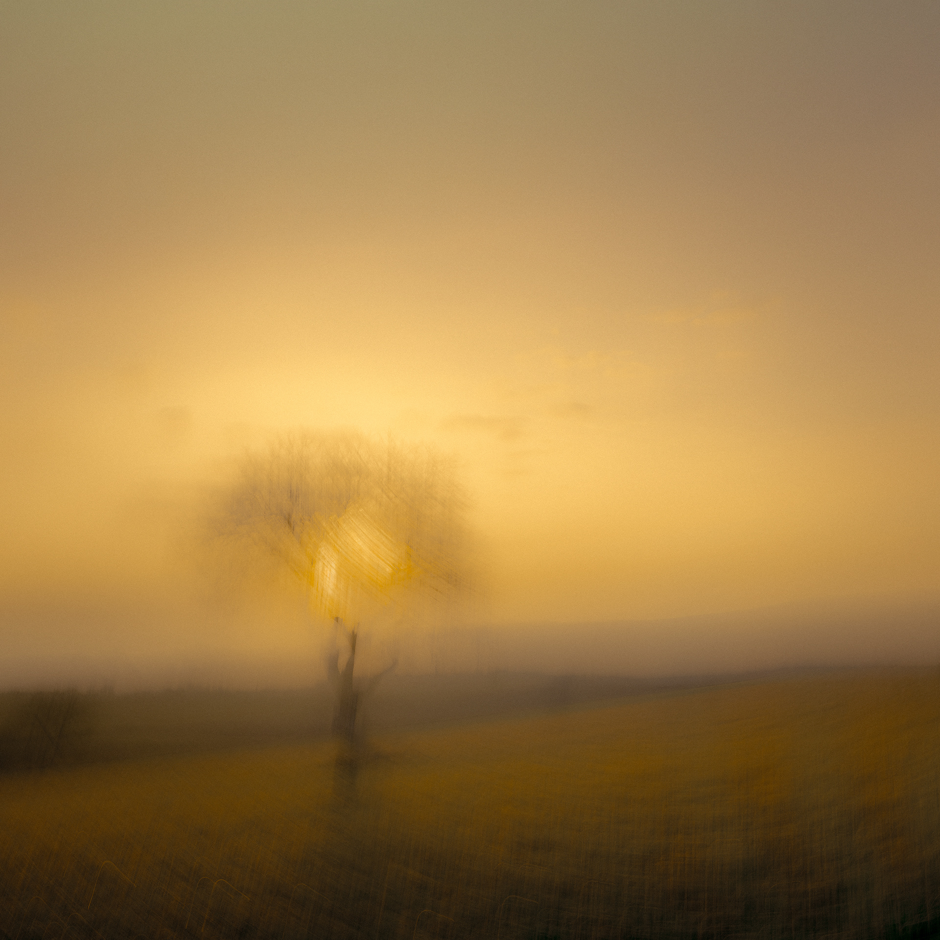 Ce qui reste - (c) Crédits Ju Walspeck