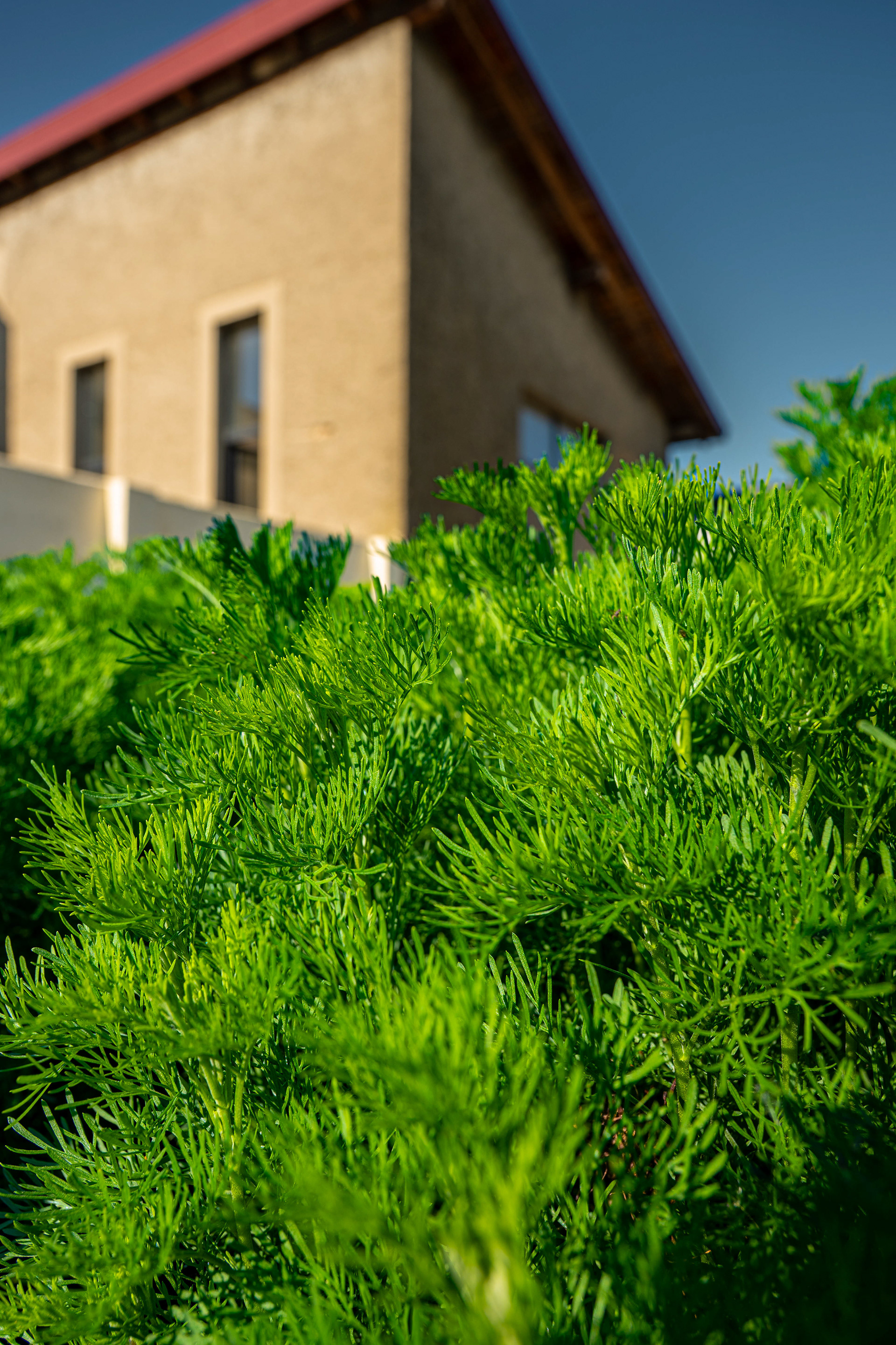 (c) Crédits Ju Walspeck