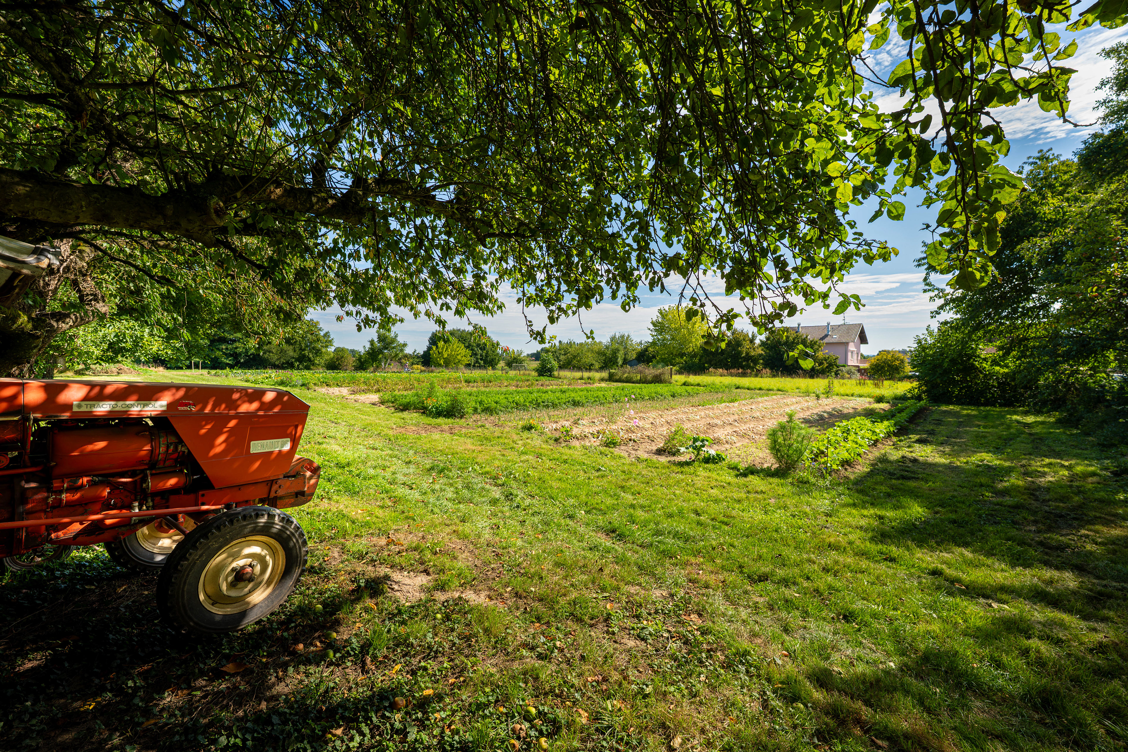 (c) Crédits Ju Walspeck