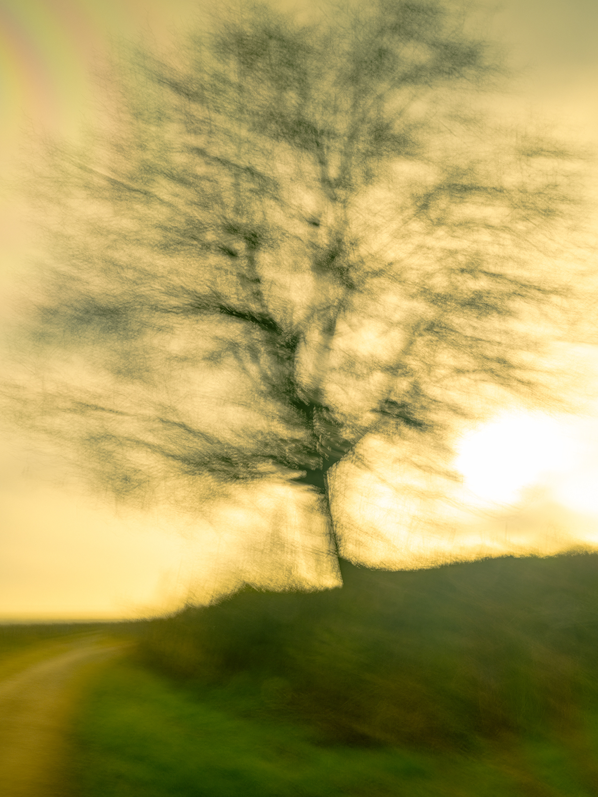 Traits vivants- (c) Crédits Ju Walspeck