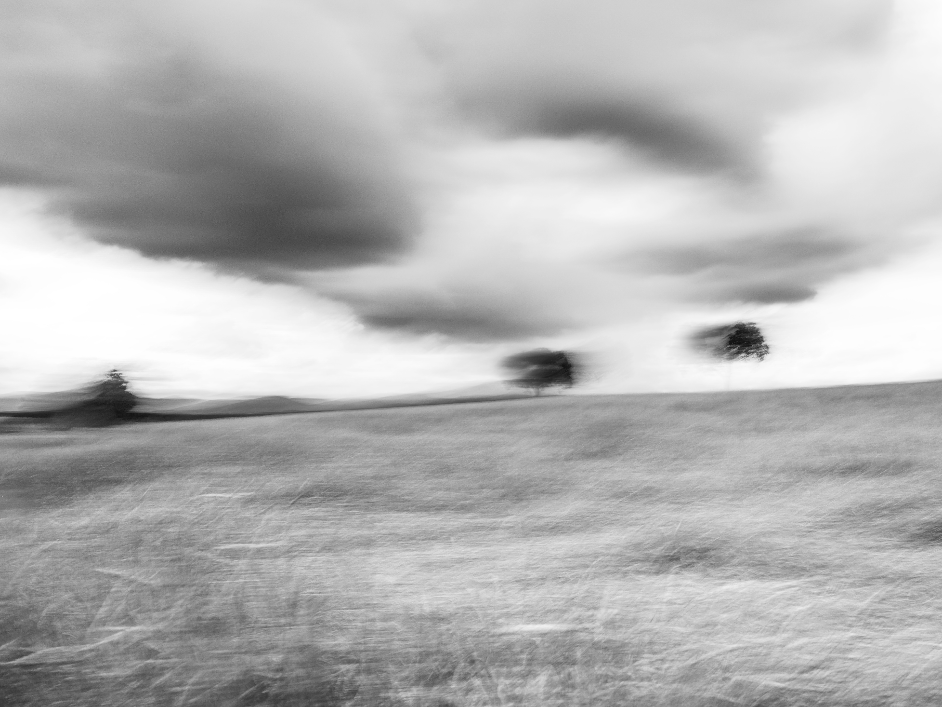 Les solitaires | (c) Ju Walspeck
