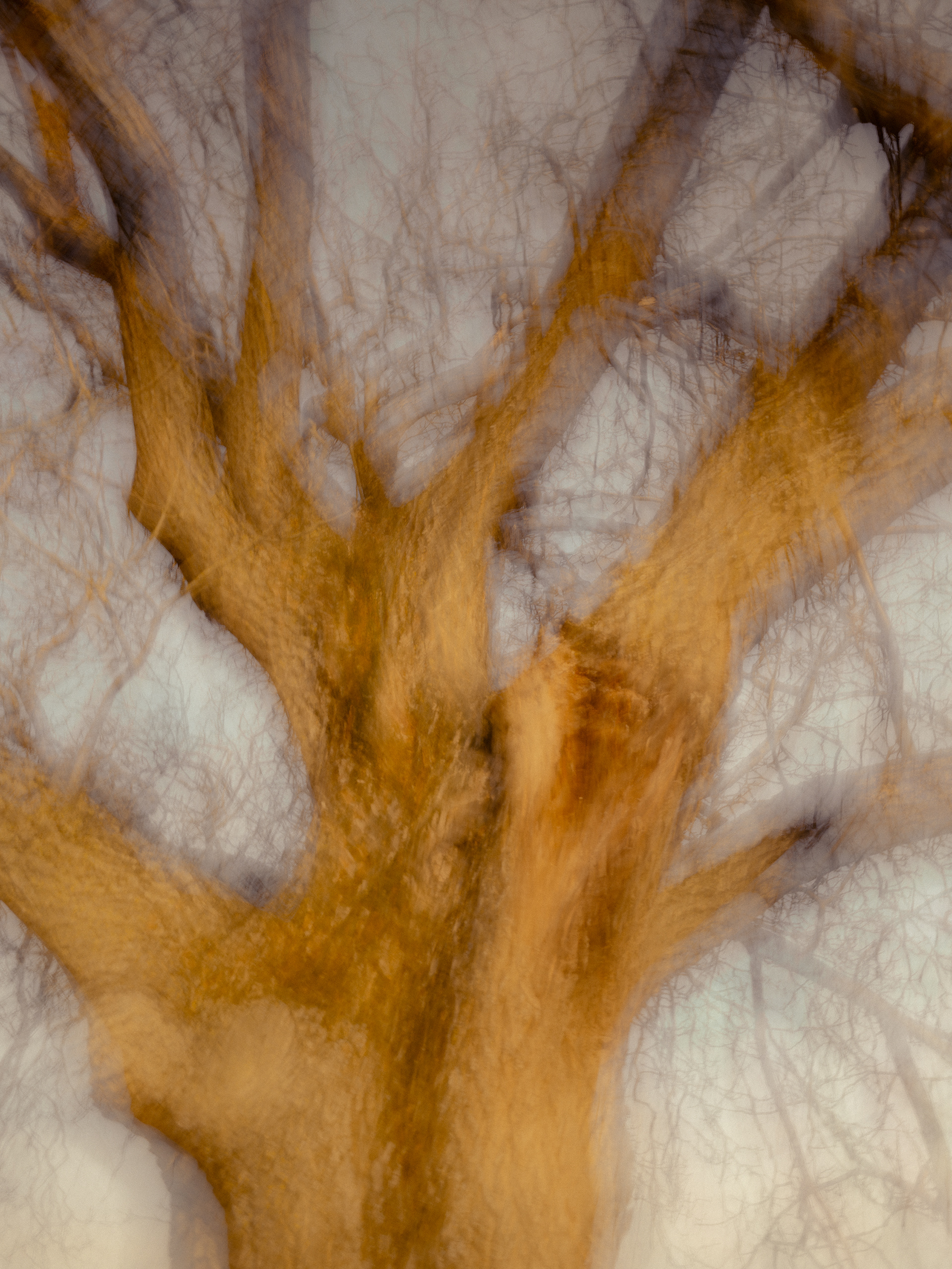 Forces croisées - (c) Crédits Ju Walspeck