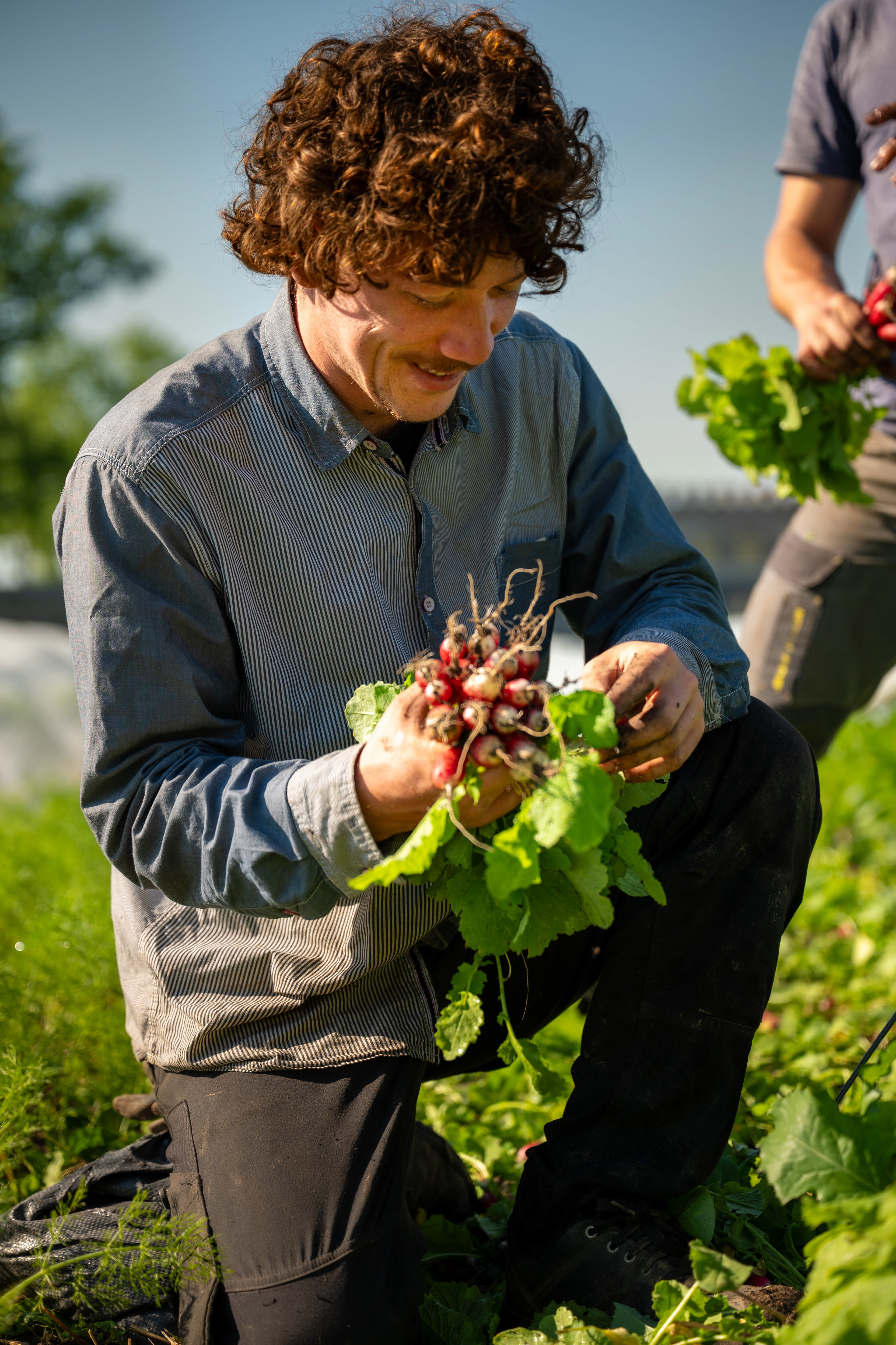 (c) Crédits Ju Walspeck