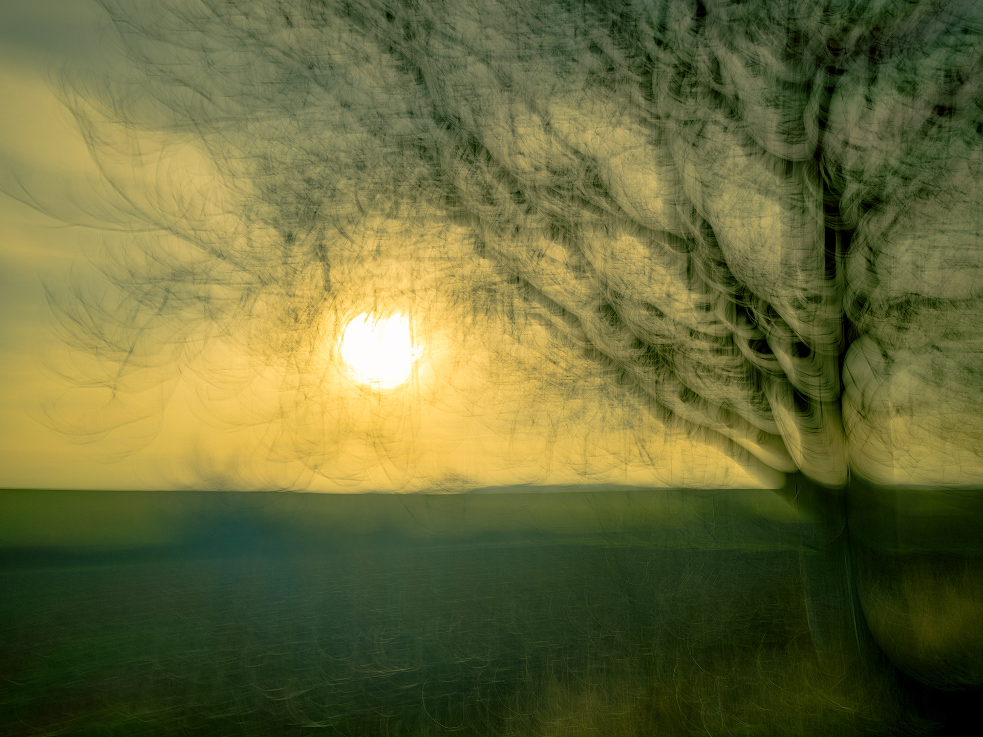 Rond(s) du soir- (c) Crédits Ju Walspeck