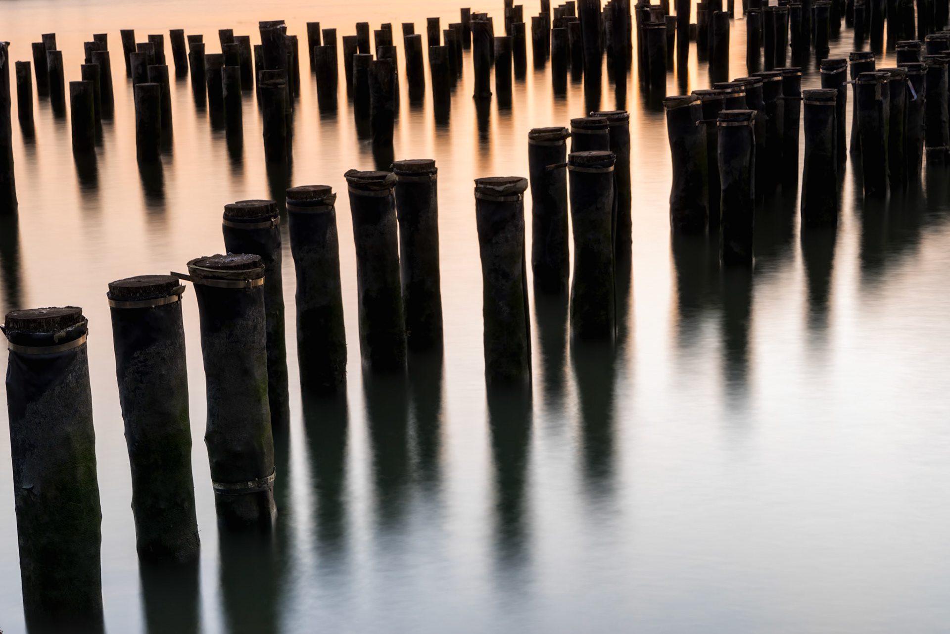 Abandoned dock pylons at Brooklyn Bridge Park