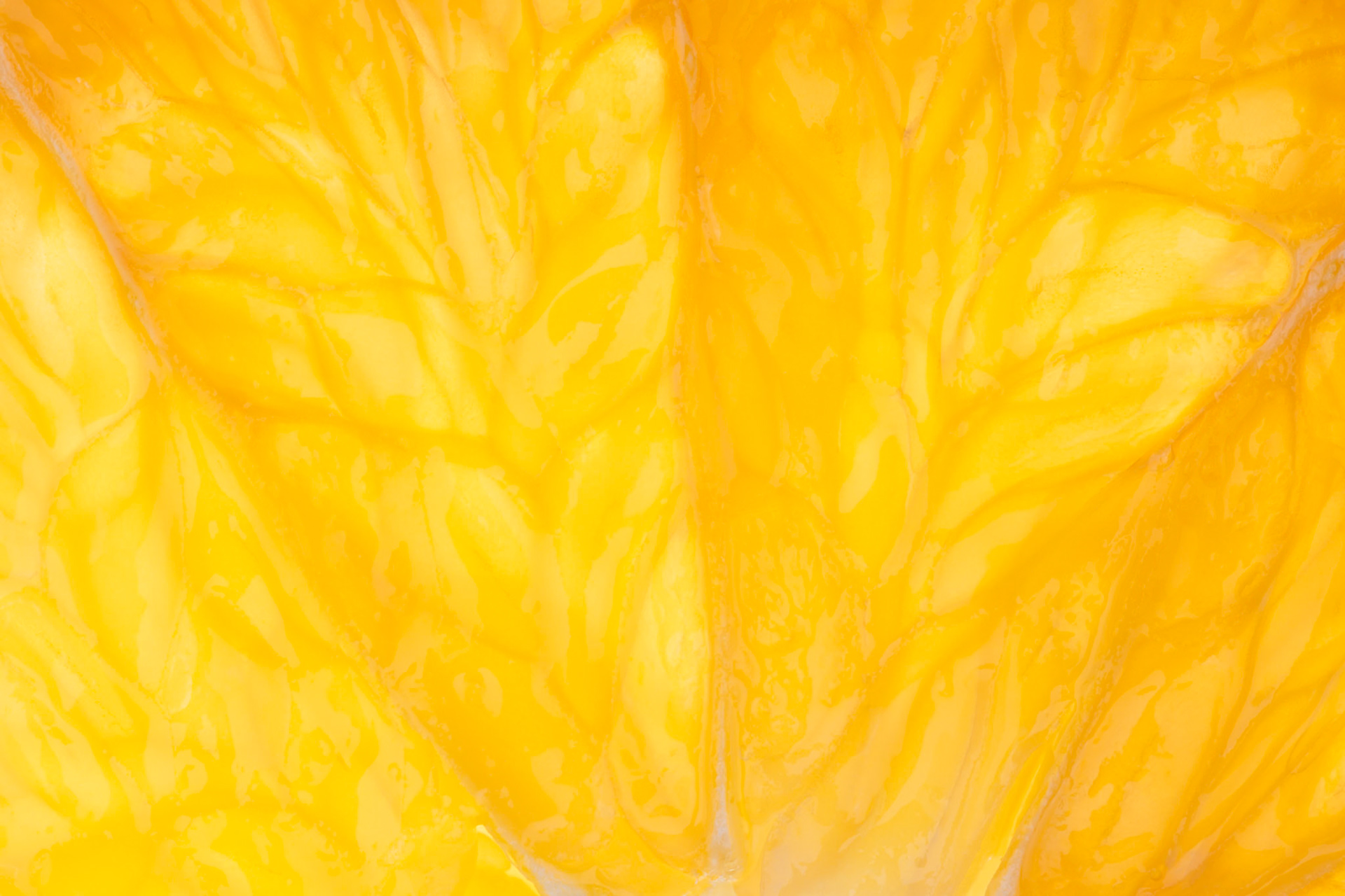 Abstract macro of a thin slice of a grapefruit